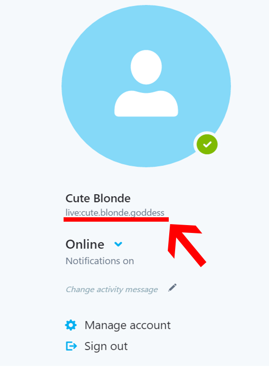 how to find your skype name on the app